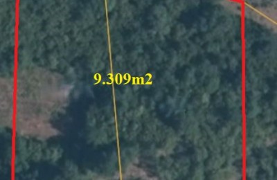 Poljoprivredno zemljište pravilnog oblika, sa šumom - Sveti Lovreč