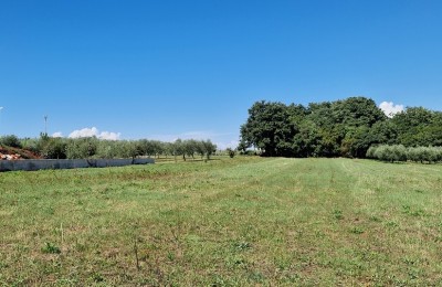 Zemljište Poreč  ca. 900m od mora