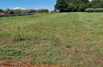 Zemljište Poreč  ca. 900m od mora