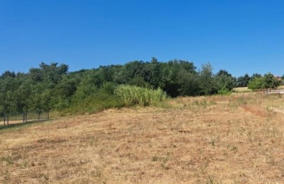 Kaštelir - Građevinsko zemljište