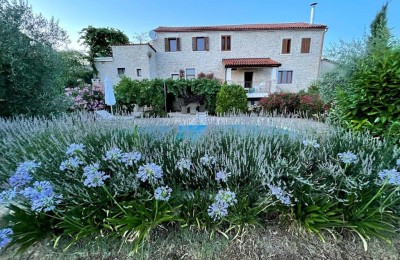 Prekrasna samostojeća kamena kuća sa otvorenim pogledom na more i istarski krajolik!