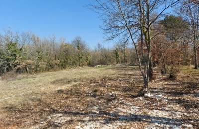 Građevinsko + poljoprivredno zemljište u okolici Lovreča