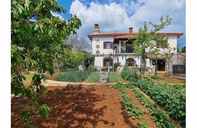 Istra, Oprtalj/Buje okolica - Kamena kuća na mirnoj lokaciji sa lijepim velikim zemljištem !