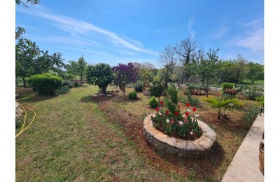 Istra, Oprtalj/Buje okolica - Kamena kuća na mirnoj lokaciji sa lijepim velikim zemljištem !