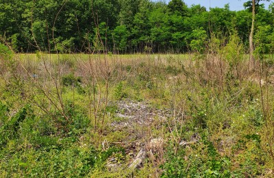 Poljoprivredno zemljište Kaštelir-Labinci-mogućnost kupnje cijele ili dvije manje parcele