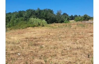 Kaštelir - Građevinsko zemljište